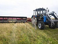 Сотни гектаров разнотравья: в  Александрово – Гайском районе начался сенокос
