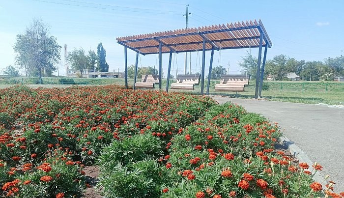 В  Александров Гае  будут обустроены две новые общественные зоны