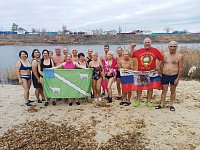 Алгайские моржи нашли лекарство от стресса