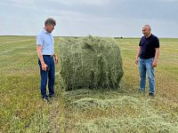 В Александрово-Гайском районе дан старт сеноуборочной кампании