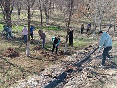  Весной александровогайский парк особенно красив