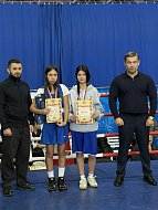 Александрово-Гайские боксеры отличились на состязаниях в Саратовской области