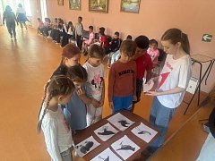 В школе села Новоалександровка прошёл увлекательный День Первых