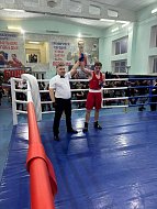 Боксёры из Александров Гая отличились на региональном турнире