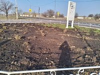 На один из «розовых островков» Александров Гая посягнули варвары