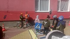 В школах Александрово-Гайского района прошли мероприятия по безопасности дорожного движения