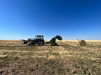 В хозяйствах Александрово-Гайского района продолжается сенокос