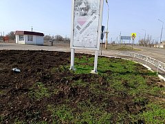 На один из «розовых островков» Александров Гая посягнули варвары
