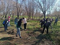 Весной александровогайский парк особенно красив