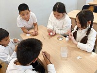 Юные александровогайцы отличились на творческом конкурсе «Эко - ёлка»