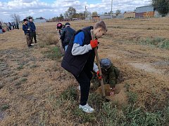 В Александров Гае высадили аллею дружбы