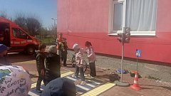 В школах Александрово-Гайского района прошли мероприятия по безопасности дорожного движения