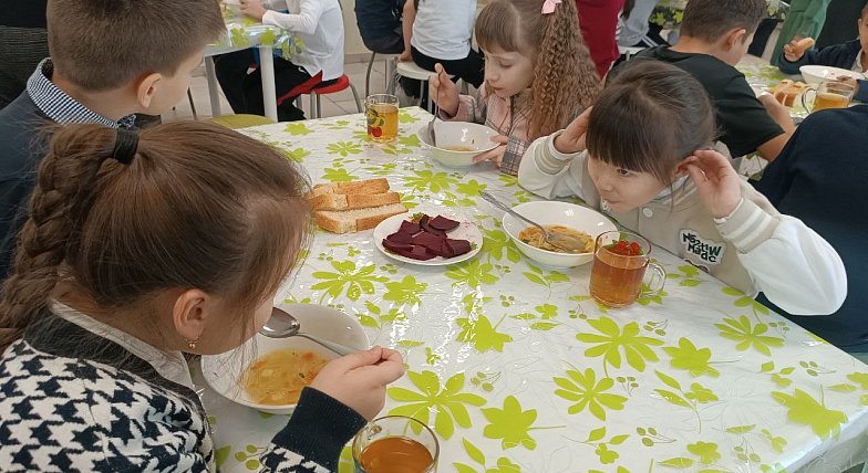 Детям Александрово — Гайского района обеспечили качественное питание благодаря инициативе Вячеслава Володина