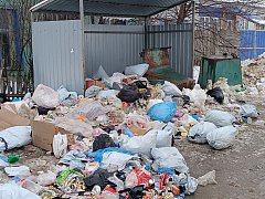 Мусорная вакханалия Александров Гая набирает обороты