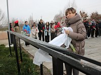 «Мы будем помнить»: в александровогайской школе увековечили память бойца