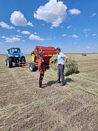 Сеноуборочная кампания набирает обороты в Ал-Гае