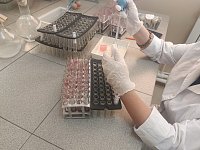 Алгайские ветеринары приступили к плановым осенним мероприятиям