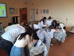 В Александрово-Гайском лицее прошли демозанятия к 30-летию учреждения