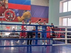 Боксёры из Александров Гая отличились на региональном турнире