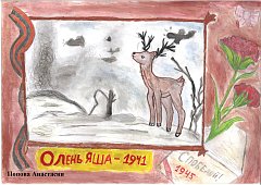 Студенты Александрово-Гайского лицея участвовали в международном конкурсе