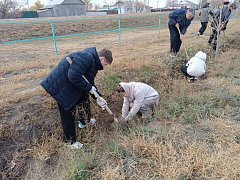 В Александров Гае высадили аллею дружбы