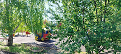 В каждом уголке Александрово-Гайского парка очарование природы 